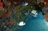 2009-09-08 12-59-42Li